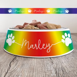 Personalised Dog Bowl - Just Ombre Rainbow