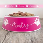 Personalised Dog Bowl - Just Ombre Raspberry