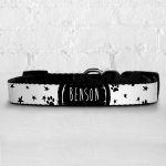 Personalised Dog Collar - To The Moon
