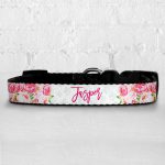 Personalised Dog Collar - Minty Floral