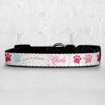 Personalised Dog Collar - Just The Sweetest