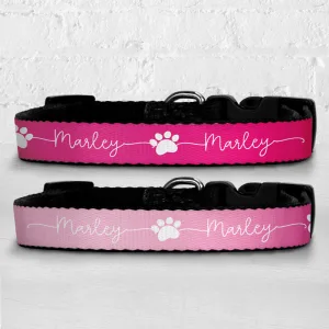 Personalised Dog Collar - Just Ombre Raspberry