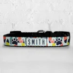 Personalised Dog Collar - Surfs Up
