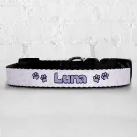 Personalised Dog Collar - So Loved Grape