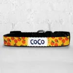 Personalised Dog Collar - Just Peachy