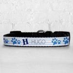 Personalised Dog Collar - Initial Stripes Blue