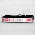 Personalised Dog Collar - Initial Stripes Pink
