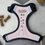 Personalised Dog Harness - Pastel Rainbow