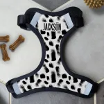 Personalised Dog Harness - Brush