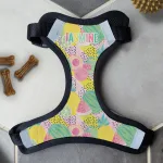 Personalised Dog Harness - Tutti Fruitti