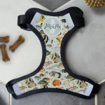 Personalised Dog Harness - Something's Fishy