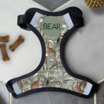 Personalised Dog Harness - Hear Me Roar