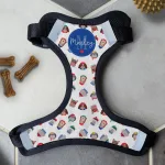 Personalised Dog Harness - Bonjour