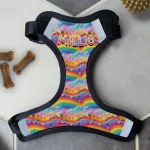 Personalised Dog Harness - Rainbow Vibes