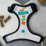 Personalised Dog Harness - Bones Blue