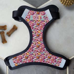 Personalised Dog Harness - Don't Be Jelly
