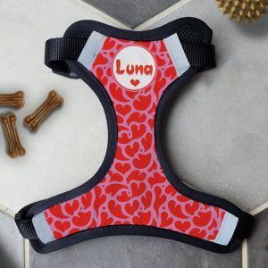 Personalised Dog Harness - I Heart You