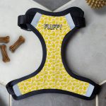 Personalised Dog Harness - Smiley