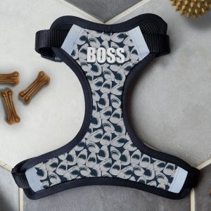 Personalised Dog Harness - Sharky
