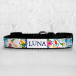 Personalised Dog Collar - Bon Voyage