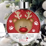 Personalised Pet Christmas Tree Bauble Decorations - All The Reindeer