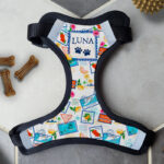 Personalised Dog Harness - Bon Voyage